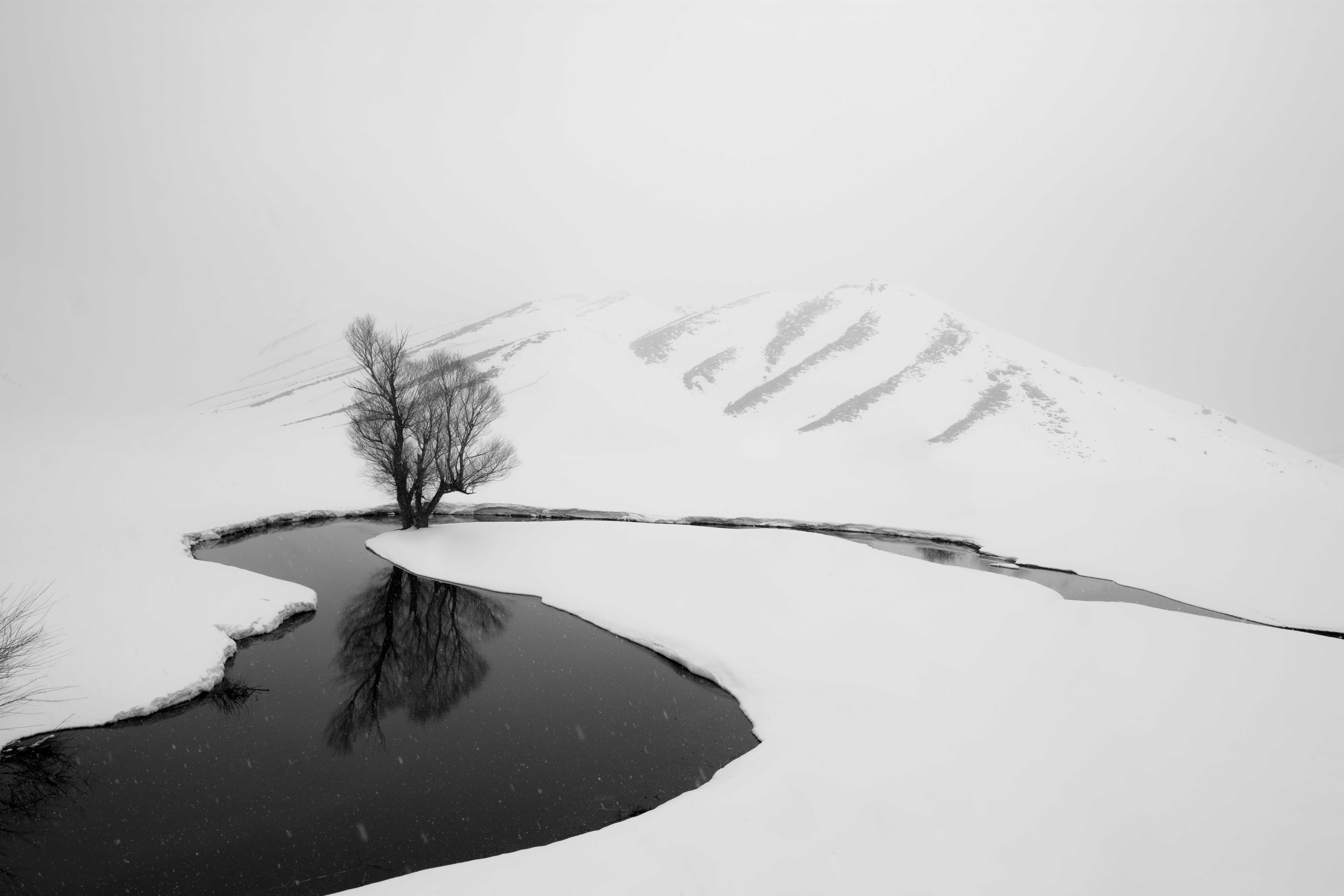 winter