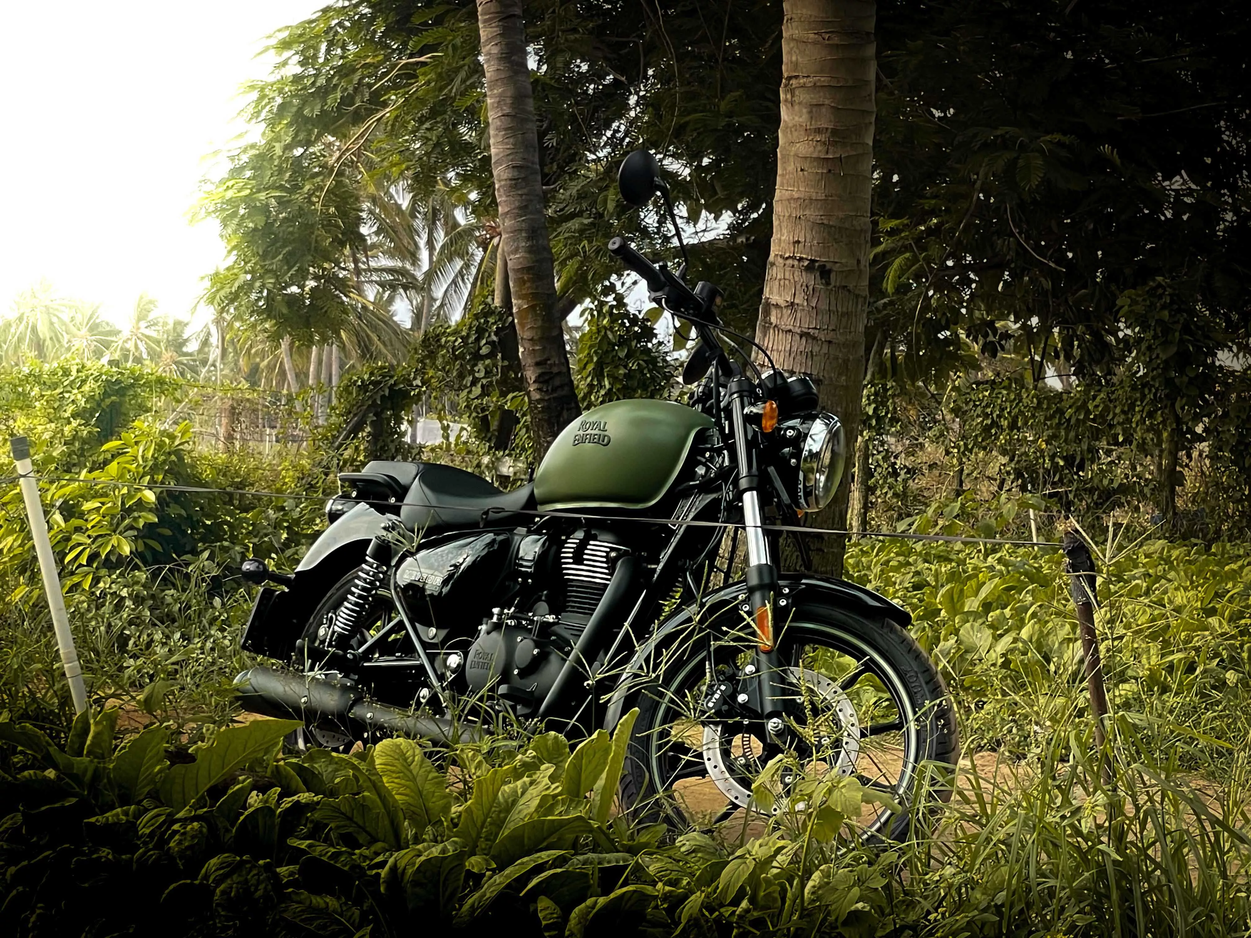 Harmony of Green