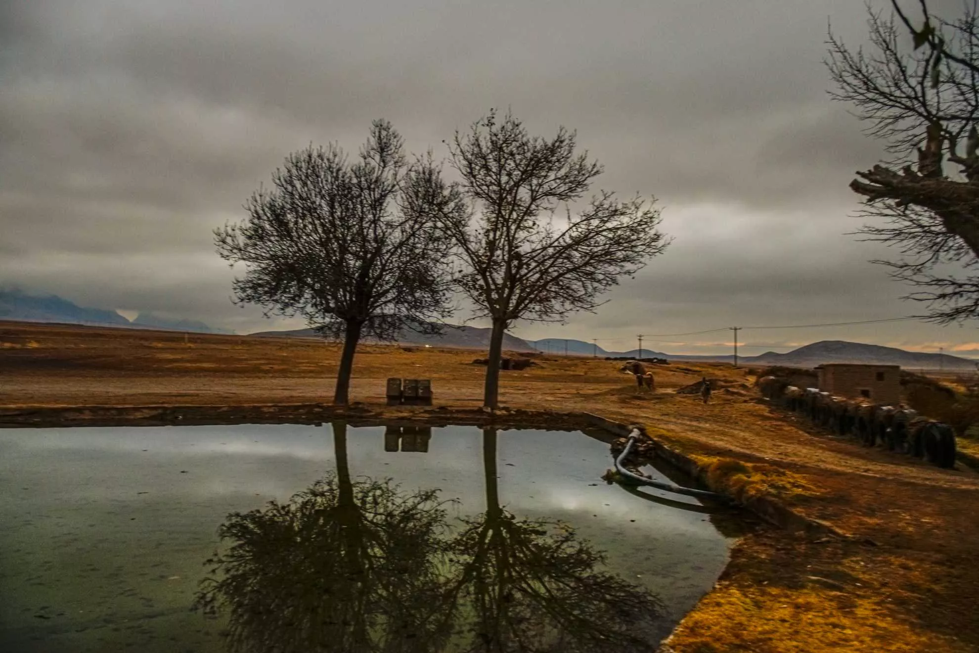 pond