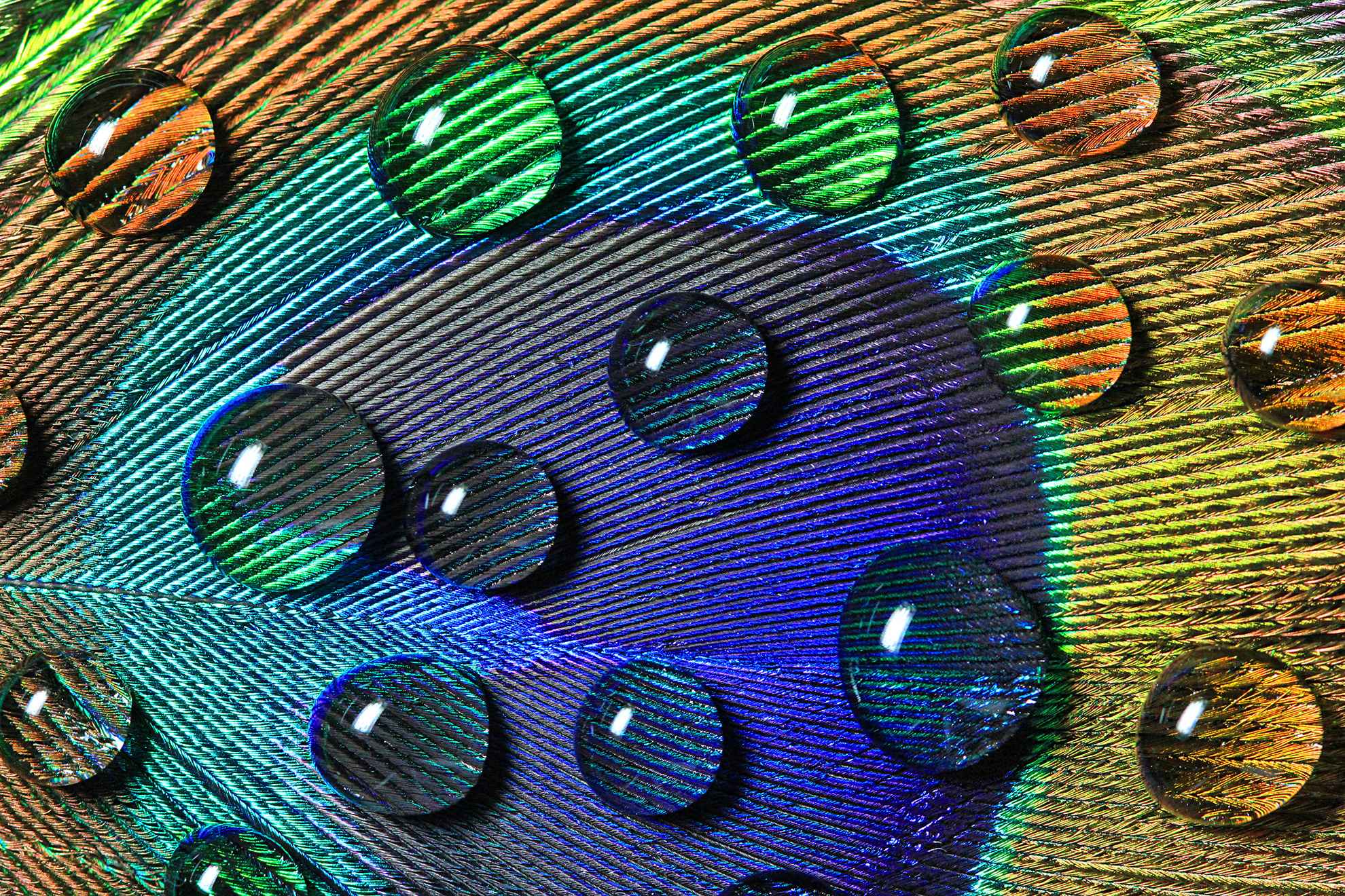 Water droplets