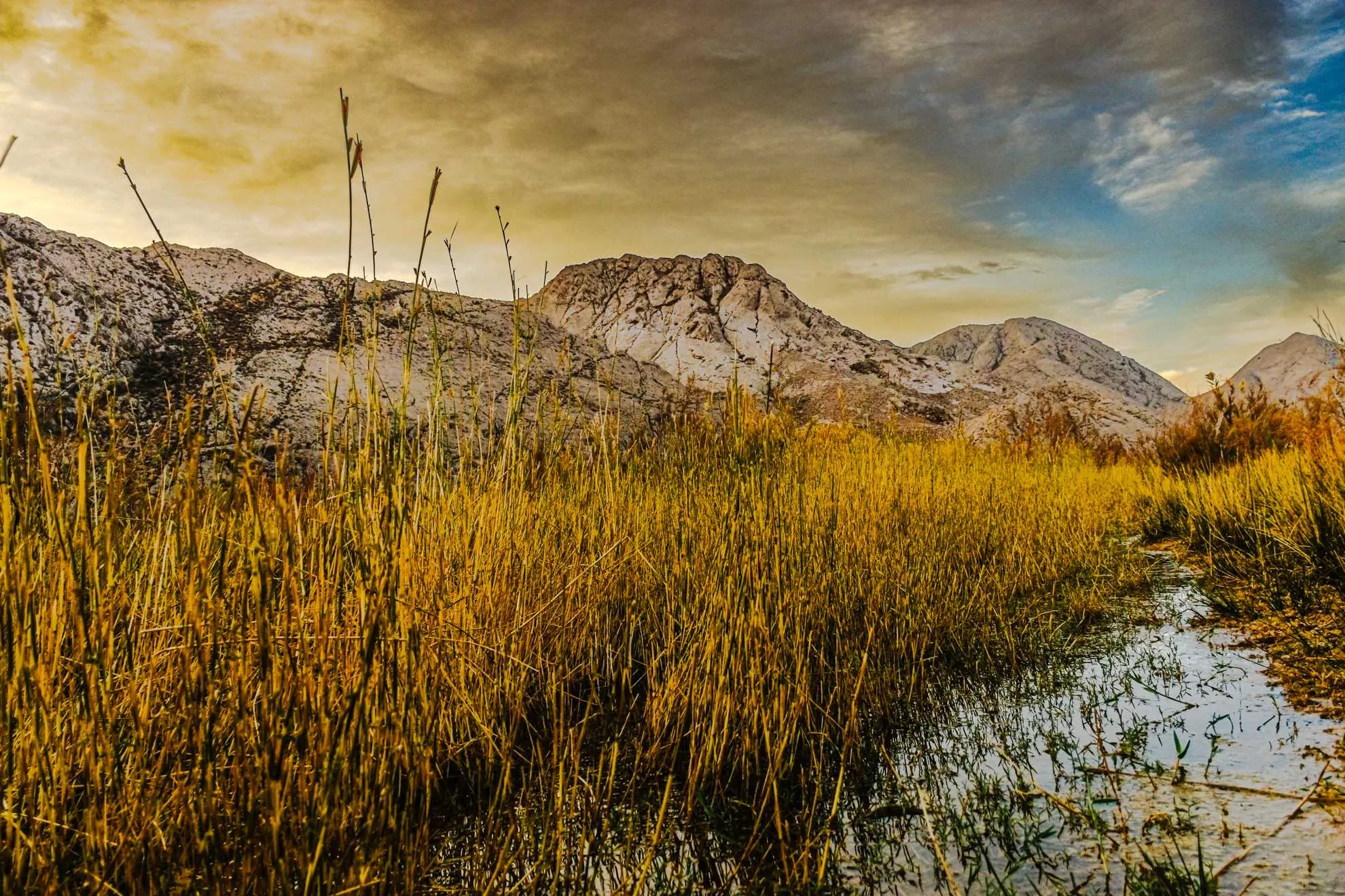 Golden sky