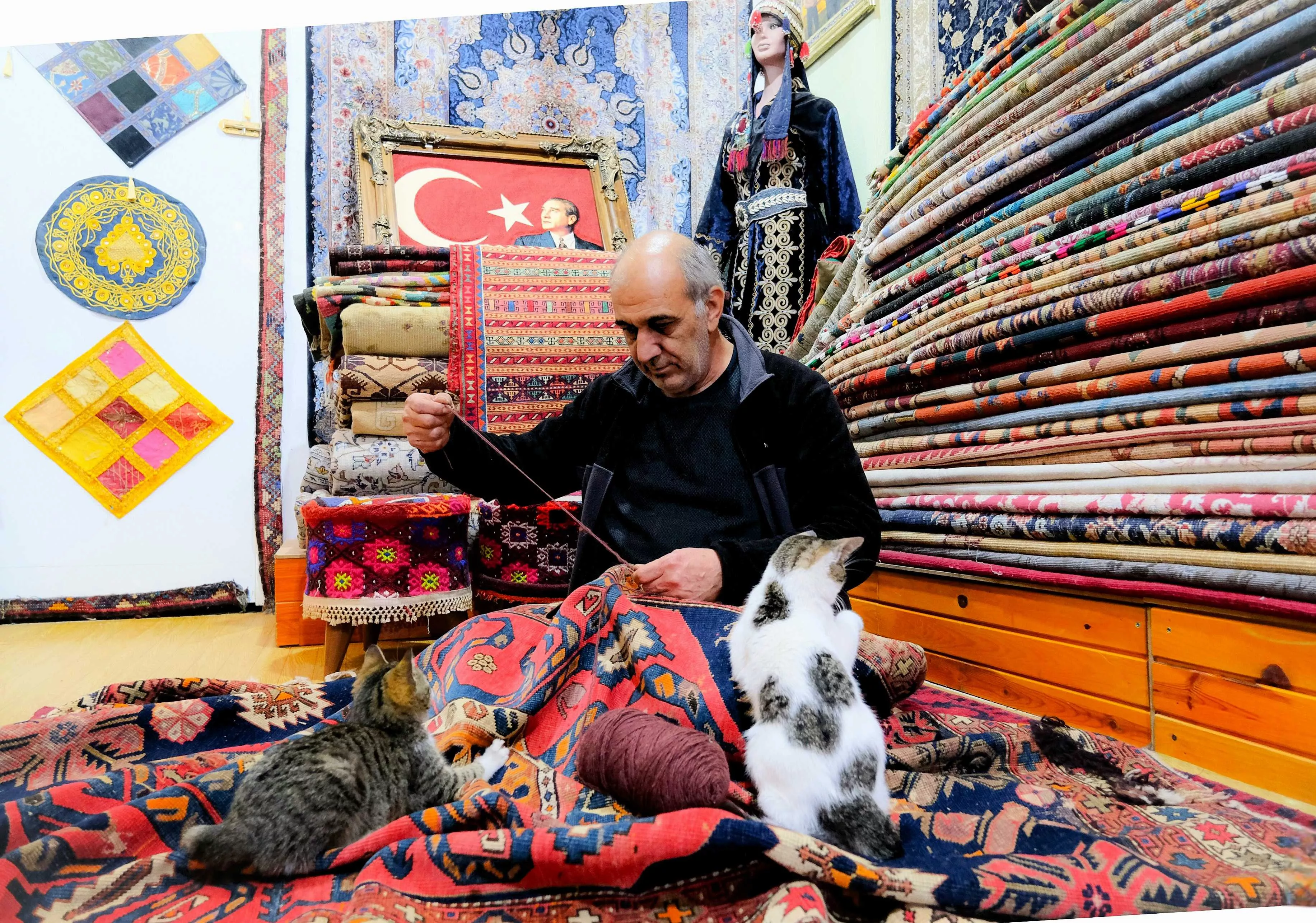 Halıcı