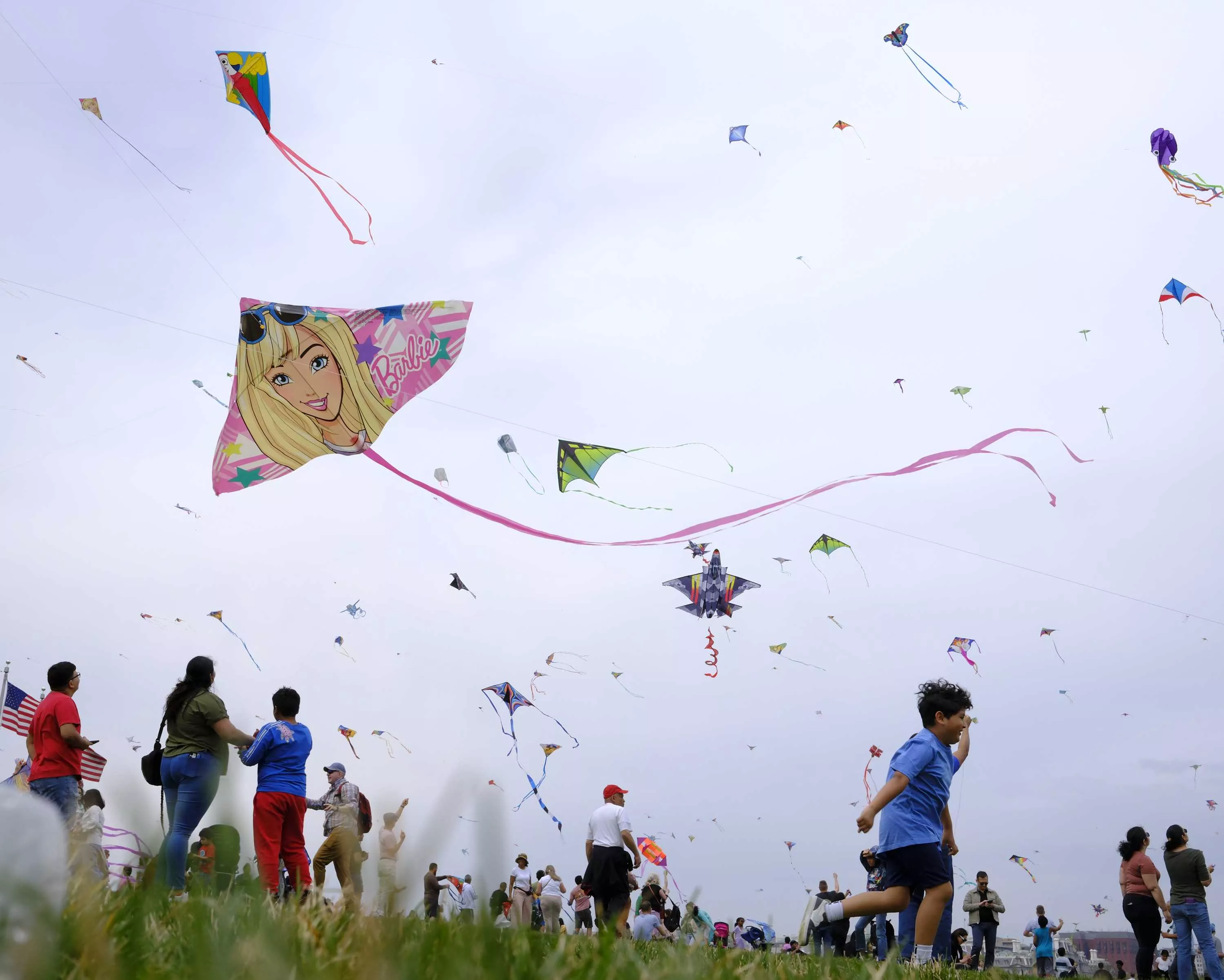 Blossom Kite Festival in Washington DC
